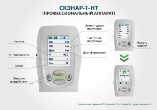 СКЭНАР-1-НТ (исполнение 01)  в Великом Новгороде купить Скэнар официальный сайт - denasvertebra.ru 